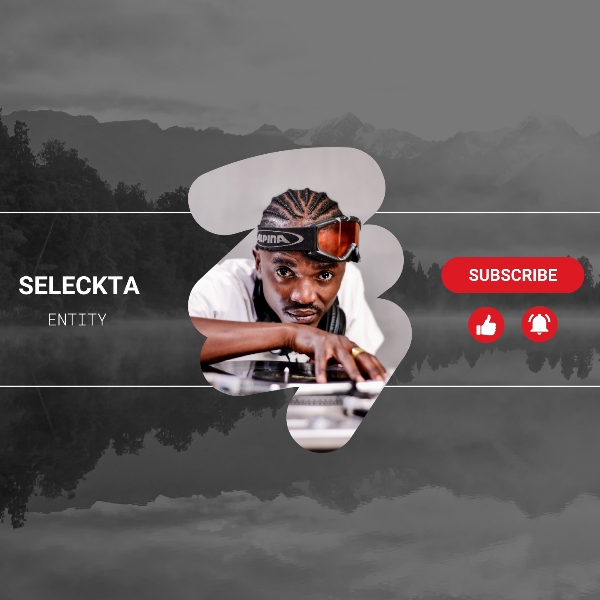 Seleckta Entity