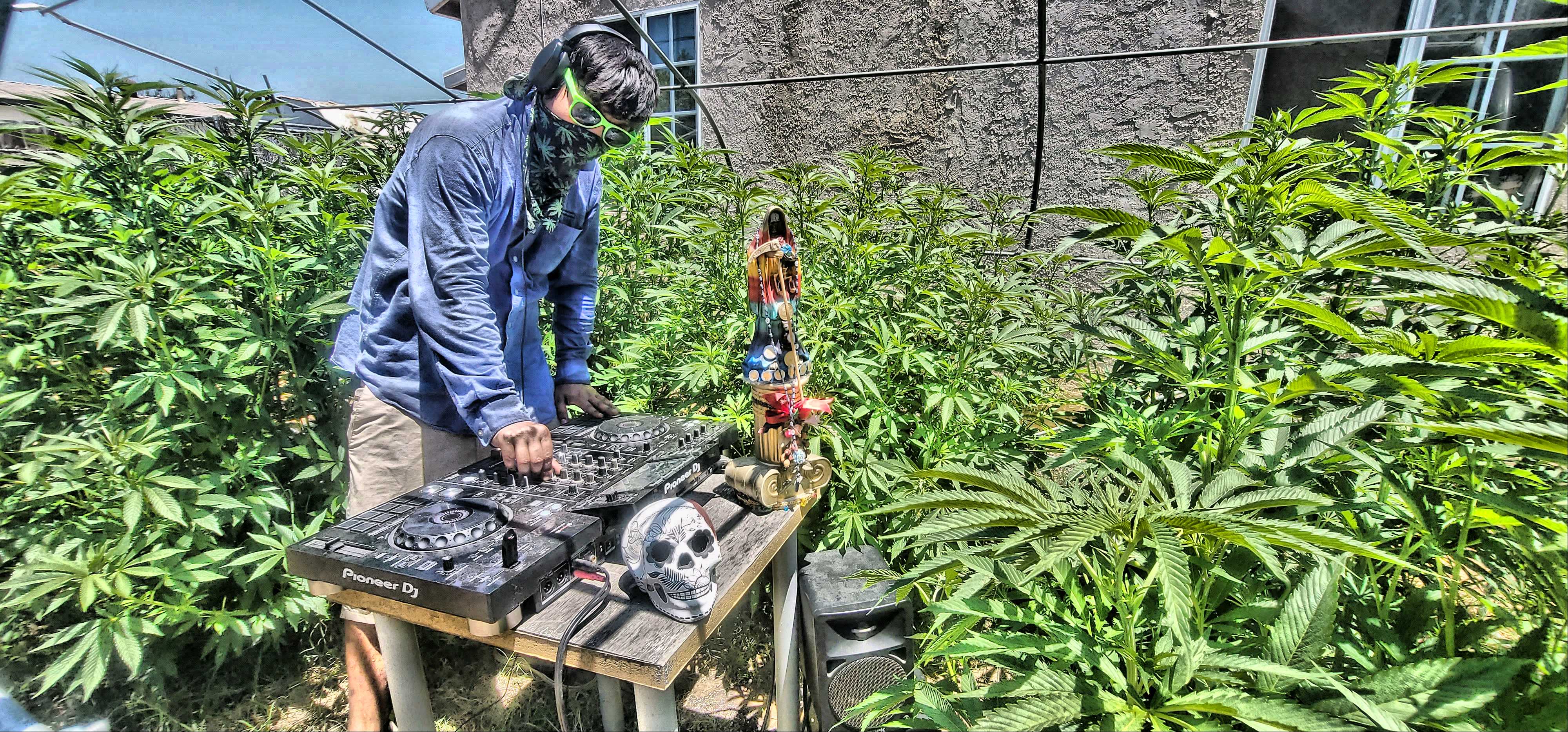 DJ Khronik Kandy 