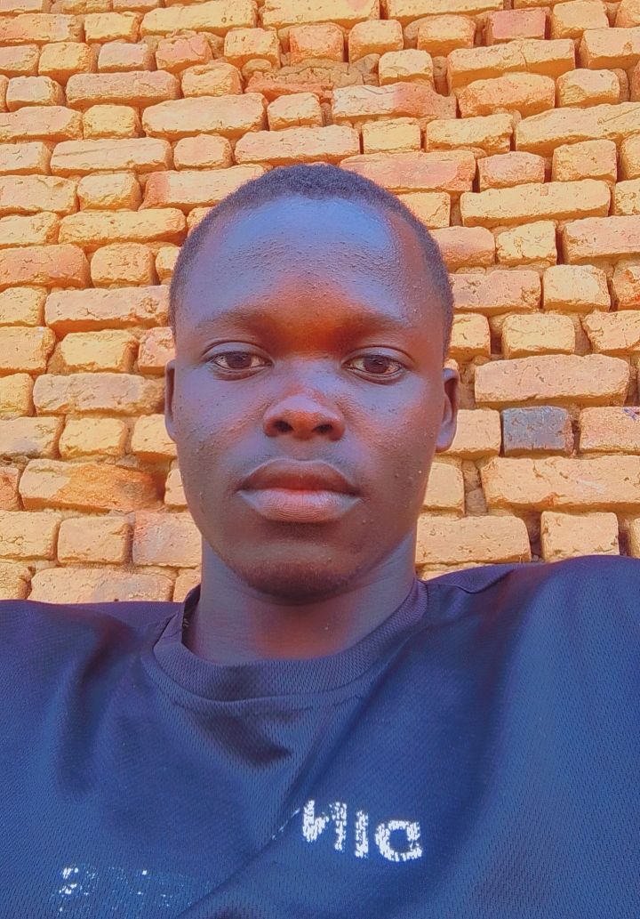 Dj olly pro 256