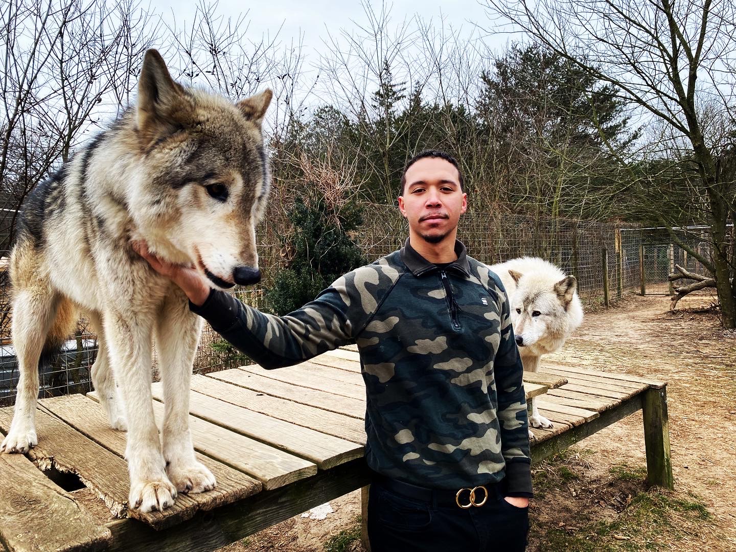 Bigg Badd Wolf